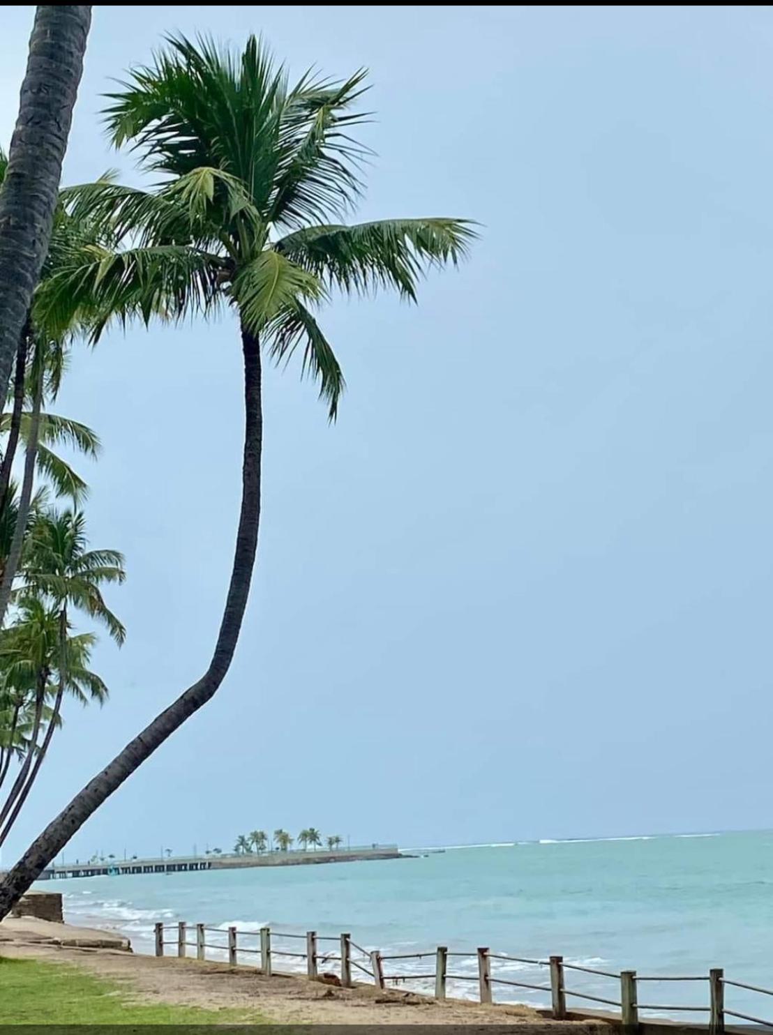 Lindo Apartamento De Frente Para A Praia De Pajucara Maceió Eksteriør bilde
